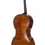 Ricci Carbon Fiber Cello