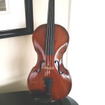 Violine glossy