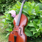 Viola antique